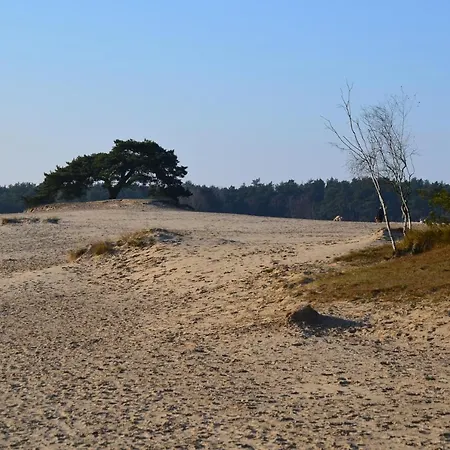 Weideblik Holiday home *