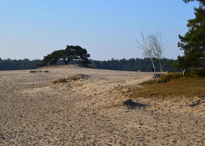 Weideblik Holiday home *