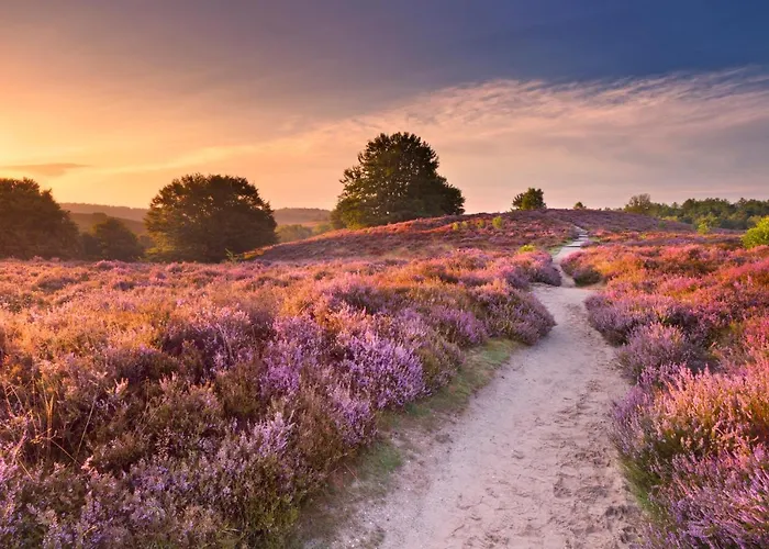 Hébergement de vacances Weideblik Doornspijk